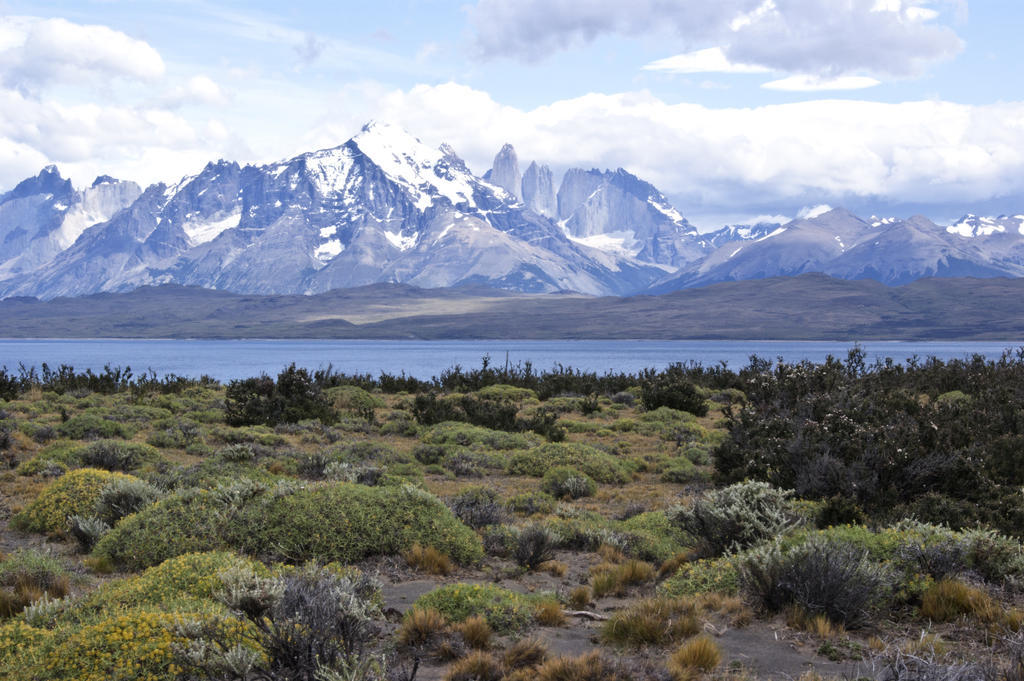 Tierra Patagonia Hotell Torres del Paine National Park Exteriör bild
